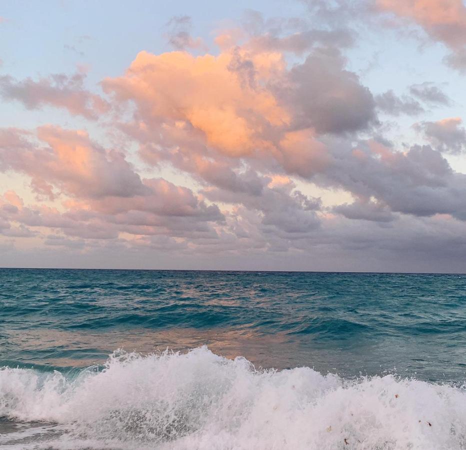 Palm Beach Island Condominiums Dış mekan fotoğraf